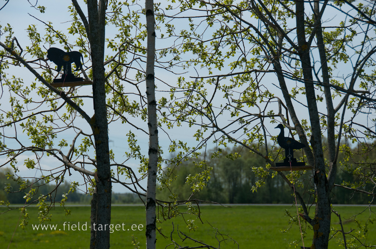 ..puu otsas ja ka...